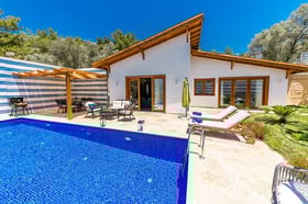 Villa Sansa-3, Jakuzili, Muhafazakar Yüzme Havuzlu Villa 3