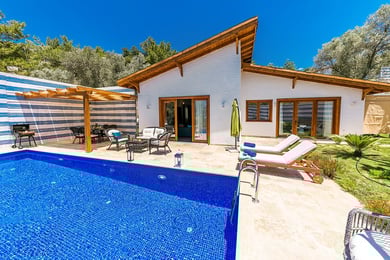 Villa Sansa-3, Jakuzili, Muhafazakar Yüzme Havuzlu Villa 2