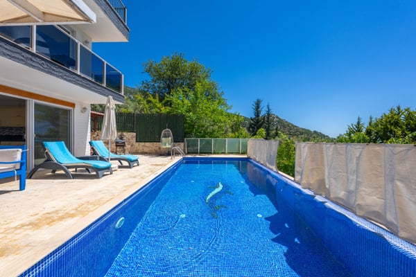 Villa Targaryen, Korunaklı Yüzme Havuzlu, Doğa İçerisinde 1