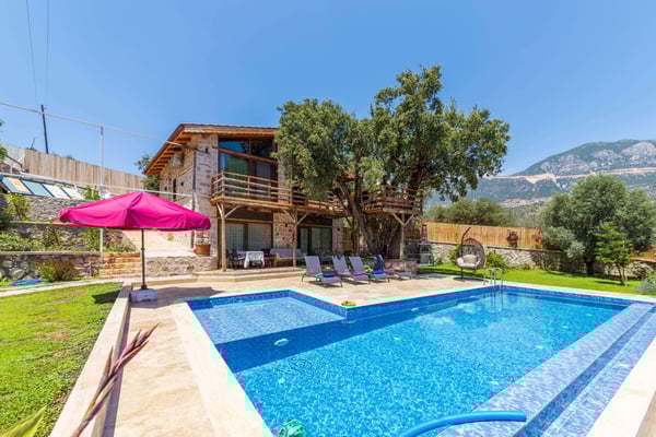 Villa Birce, Taş Mimarili, Süit Odalı, Manzaralı Lüks Villa 1