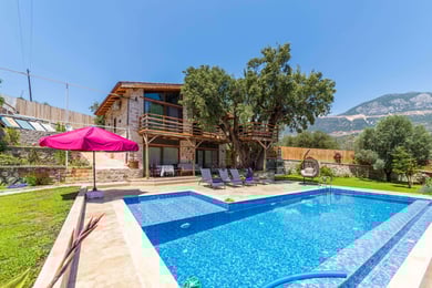 Villa Birce, Taş Mimarili, Süit Odalı, Manzaralı Lüks Villa 1