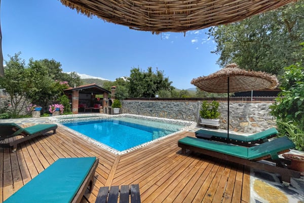 Villa Leo-2, Muhafazakar Yüzme Havuzlu, Doğa İçinde Villa 3
