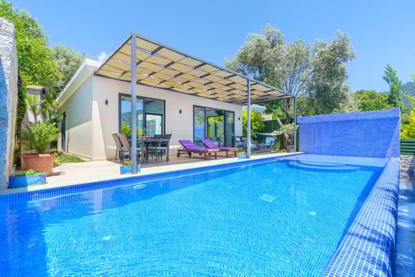 Villa Safran-2, İki Havuzlu, Doğa İçerisinde, Lüks Muhafazakar Villa 1