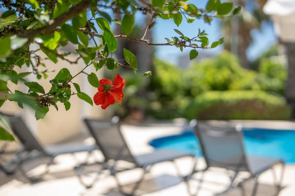 Villa Orko-9, Restoran ve Markete Yakın, Üç Odalı Villa 2